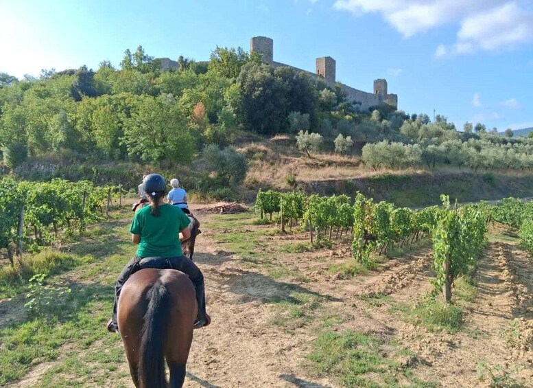 A person riding a horse on a dirt path with vineyards and a castle in the background. 1