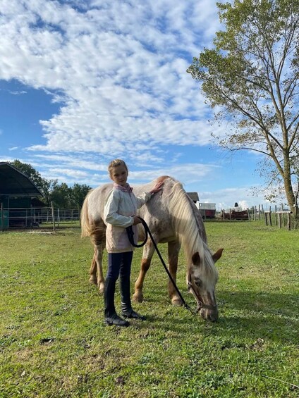 A person leading a white horse with brown spots in a grassy field with a barn and trees in the background. 5