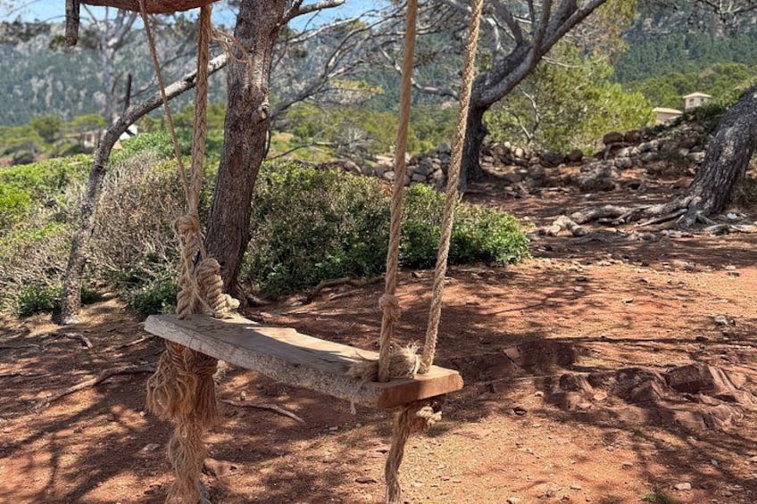 3 Hour Quad Tour on Mallorca / Passenger FREE 2