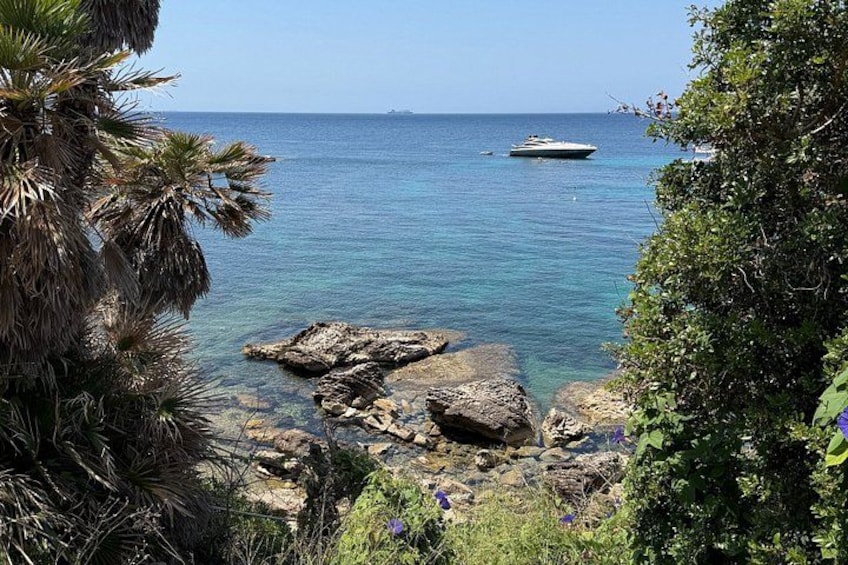 3 Hour Quad Tour on Mallorca / Passenger FREE 5