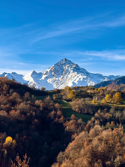 A snow-capped mountain, autumn trees, and a small house in a valley. 3
