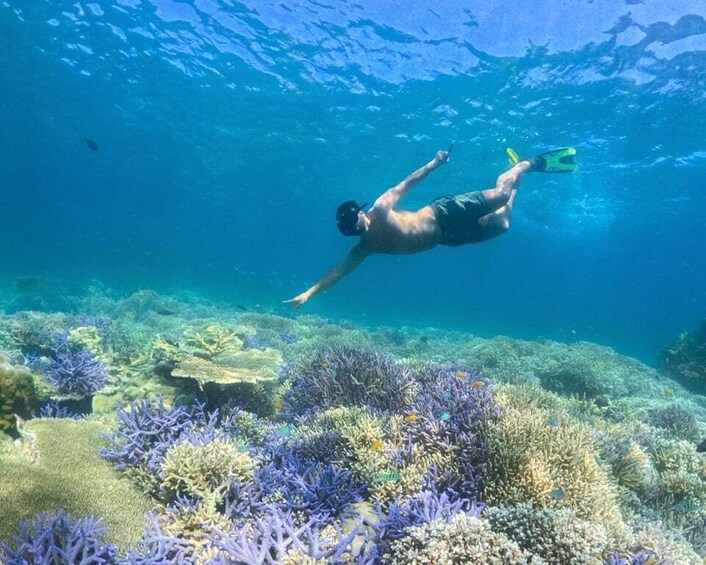 Lombok: Gili Nanggu, Gili Sudak & Gili Kedis Snorkeling 1