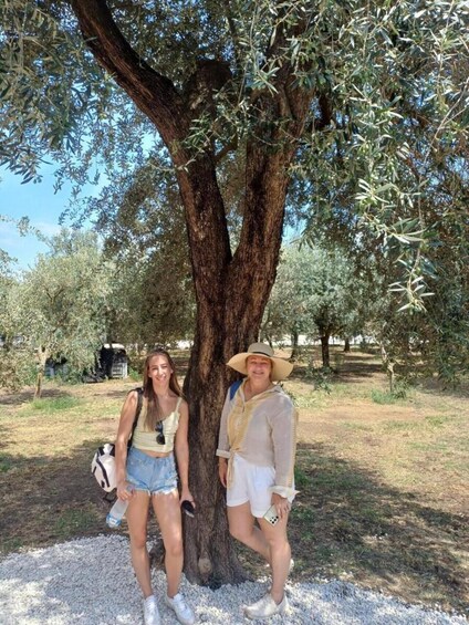 Two people standing under an olive tree in a park with a gravel path. 4