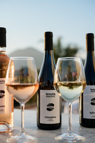 Four wine bottles and three wine glasses on a table with a mountain backdrop. 3