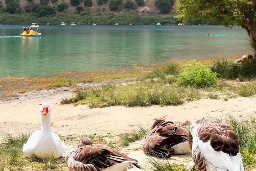 Kournas Lake & Rethymno Town 4