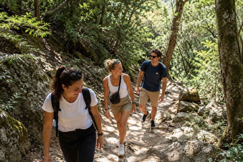 A group of hikers on a rocky trail surrounded by dense forest. 2