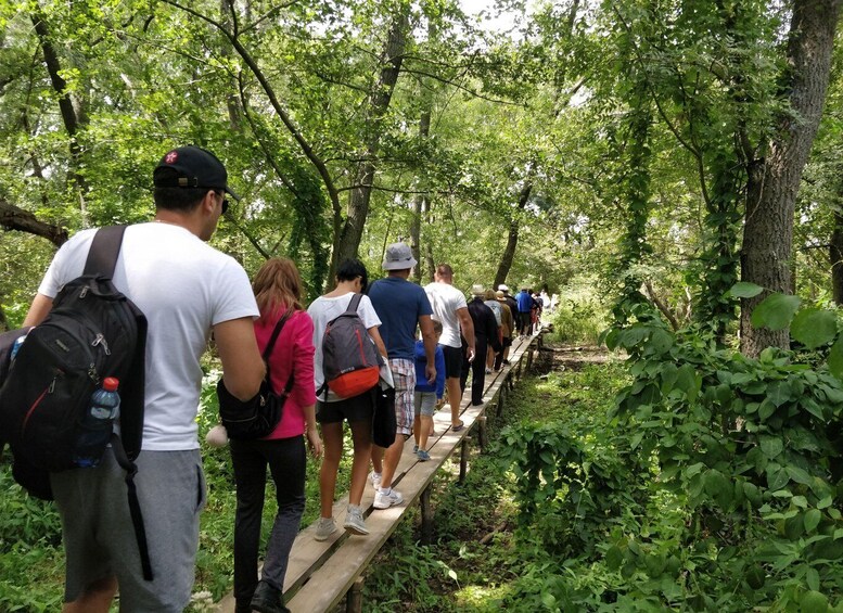 A group of people hiking on a wooden boardwalk through a forest. 2