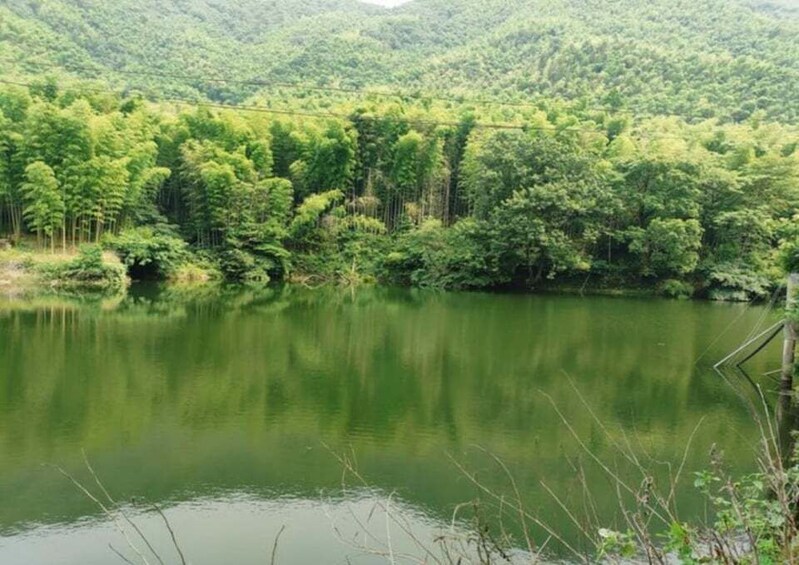 A calm lake surrounded by dense forest and hills. 3
