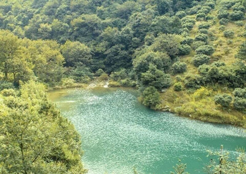 A river flowing through a densely wooded area. 4