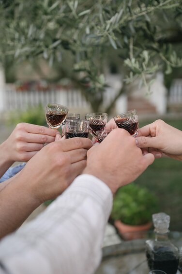 A group of people toasting with glasses of red wine, outdoors with a potted plant and a fence in the background. 2