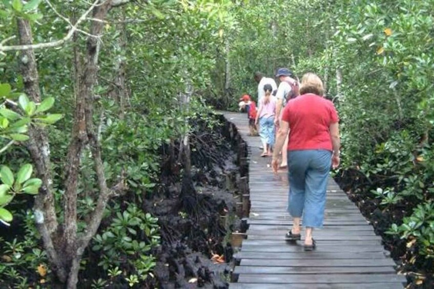 Picture 7 for Activity Zanzibar: Jozani Forest & Salaam Cave + Pickup & Entry fees 2