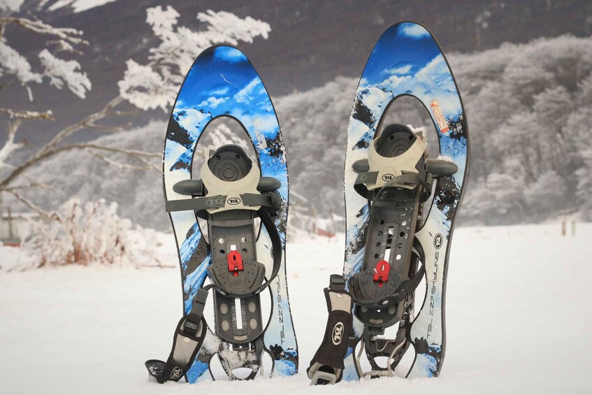 Two snowboards with a blue sky and mountain design, standing upright in the snow. 3