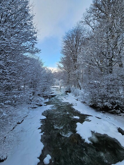 A snow-covered river flowing through a forest with bare trees. 2