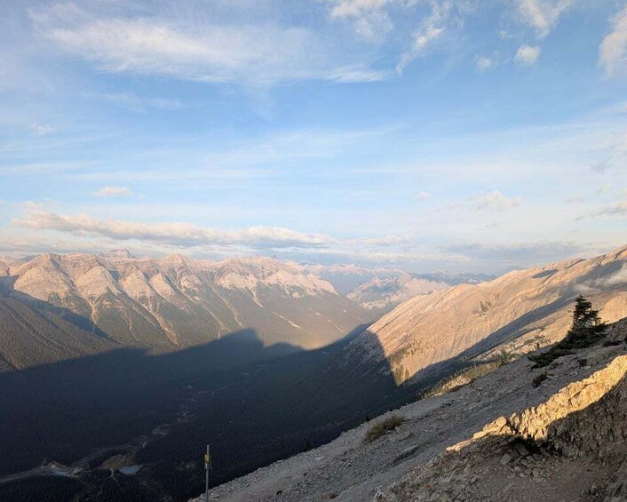 A mountain landscape with a clear sky, rocky terrain, and a solitary tree. 1