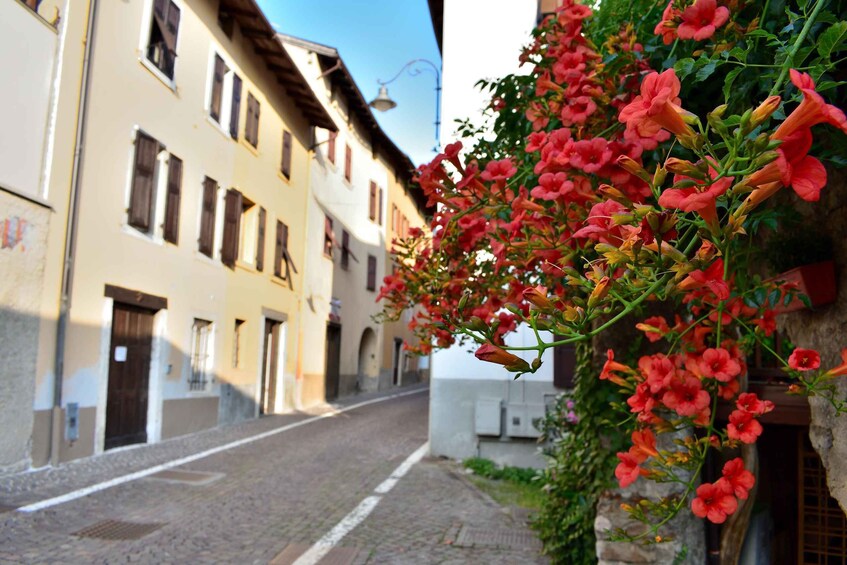 A cobblestone street with buildings, a flower-covered wall, and a clear blue sky. 2