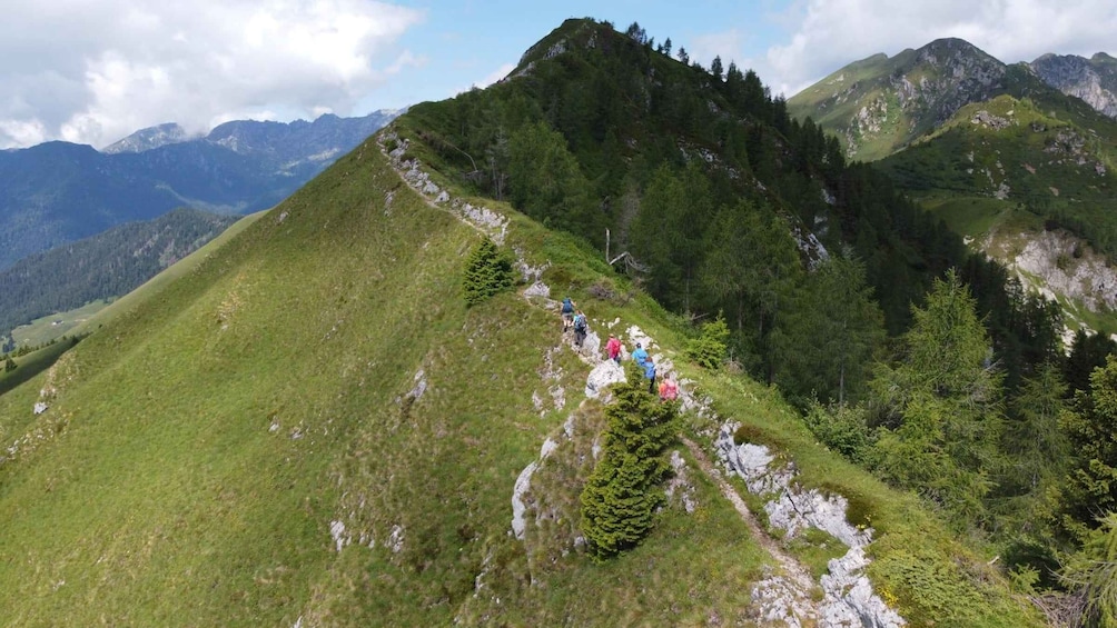 Hikers on a mountain trail surrounded by lush greenery and rocky terrain. 1