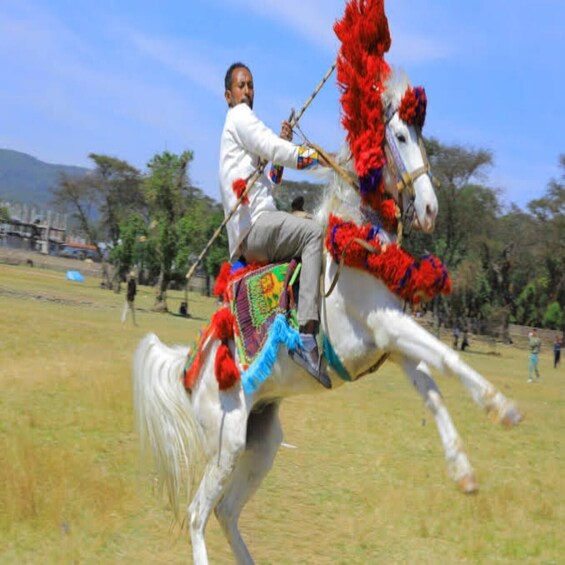 Picture 4 for Activity Addis Ababa: Sunset Horse Ride and Hyena Watching Tour 5