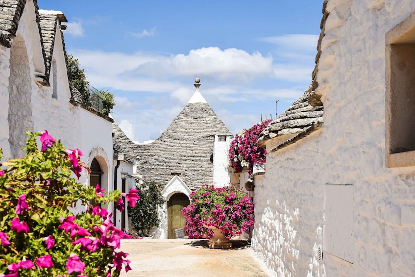 A narrow alleyway with white buildings, a stone-roofed building in the distance, and pink flowers in the foreground. 3