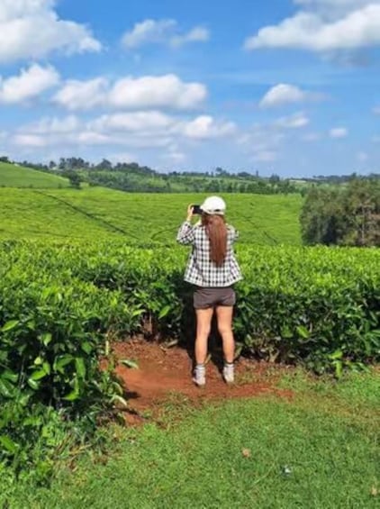 A person taking a photo in a green field with a clear sky. 1