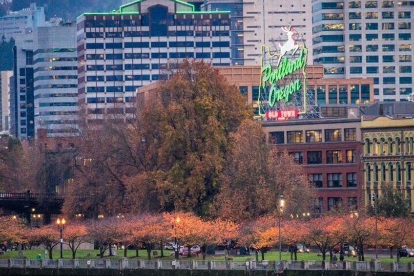 A cityscape with a prominent neon sign for Portland, Oregon, and a large tree in the foreground. 4
