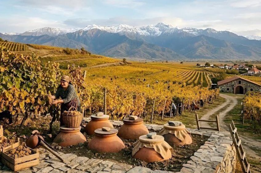 Taste of Kakheti with 8000 Years of Wine Signagi and Bodbe 3