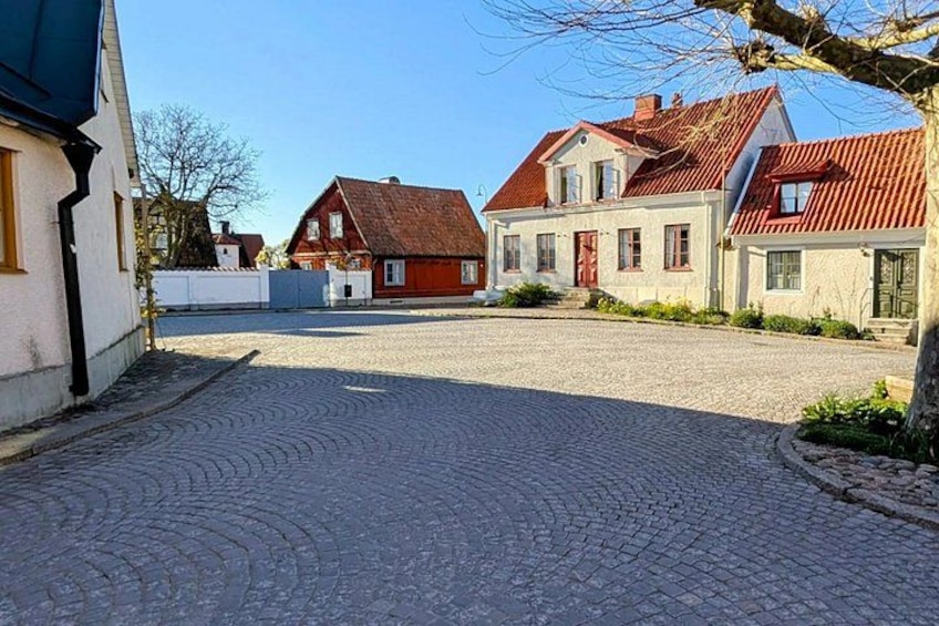 A cobblestone street lined with traditional houses, a clear blue sky, and a tree in the foreground. 1