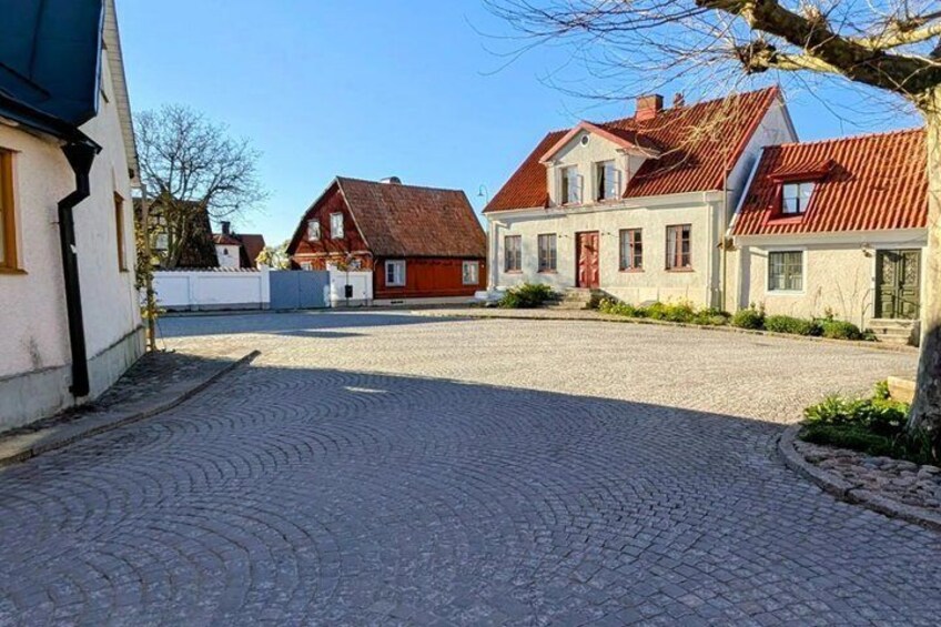 A cobblestone street with traditional houses, a clear sky, and a tree in the foreground. 5