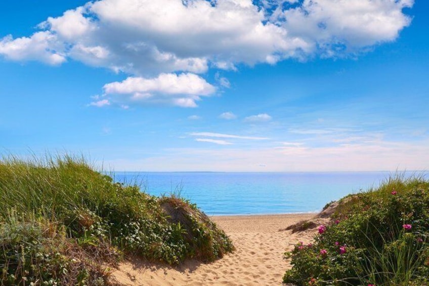 A beach with a clear sky, sandy path, and lush greenery. 2
