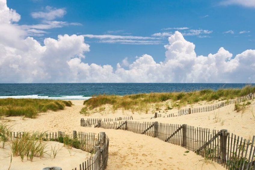 A sandy beach with a wooden fence and dunes. 4