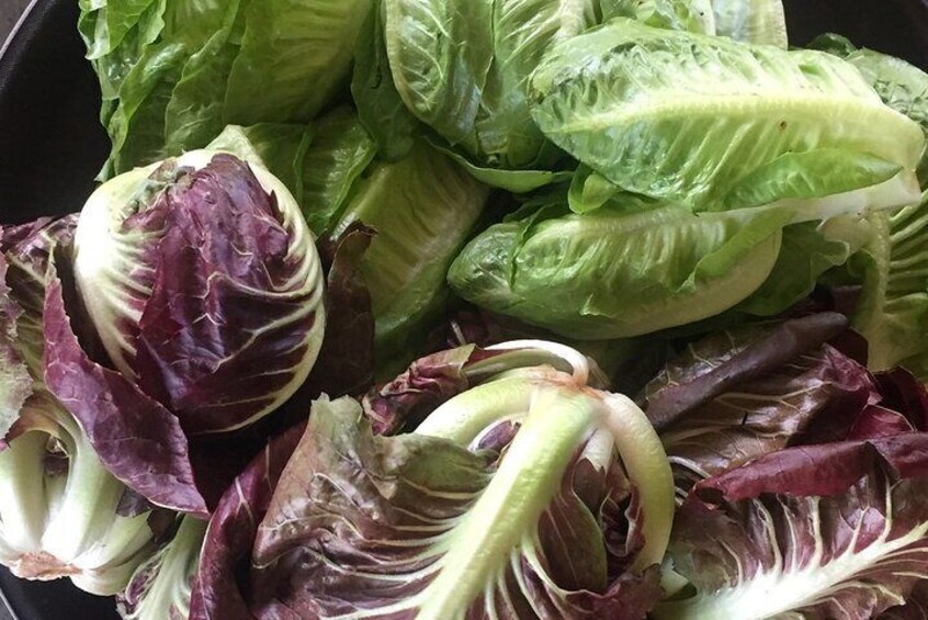 A variety of leafy greens, including lettuce and possibly radicchio, in a black container. 2