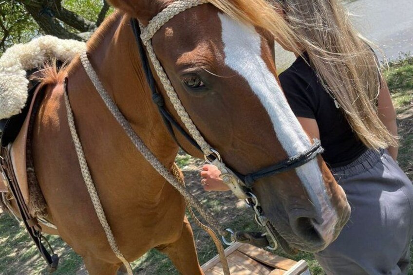 Colonia del Sacramento: Horseback riding in the countryside with optional picnic 4