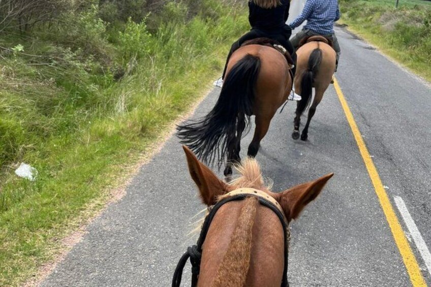Colonia del Sacramento: Horseback riding in the countryside with optional picnic 3