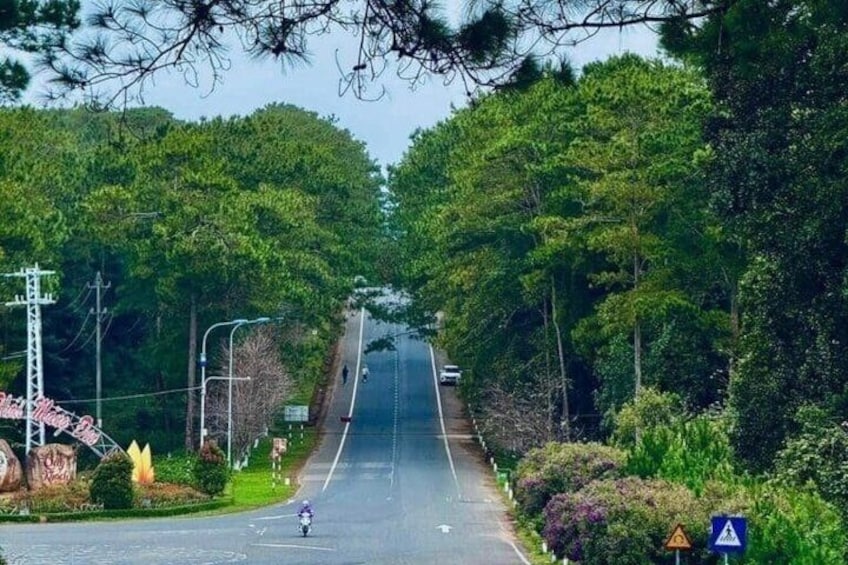A road flanked by dense green trees, a motorcyclist, and a blue directional sign. 4