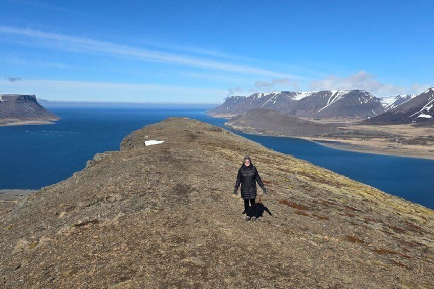 Isafjordur Full Day Private Tour 4