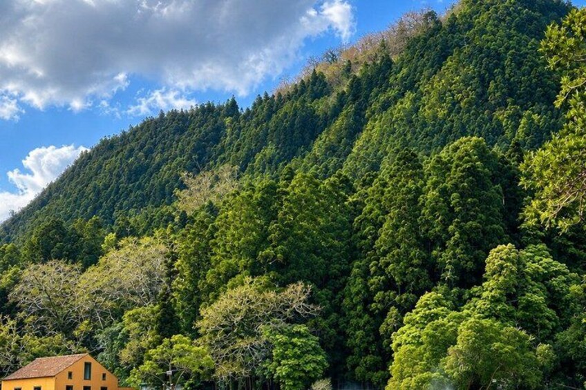 A forested hillside with a yellow building at the base. 2