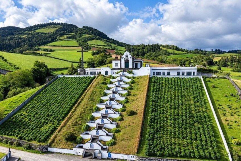 A vineyard with rows of grapevines, a white building with a cross, and rolling hills in the background. 1