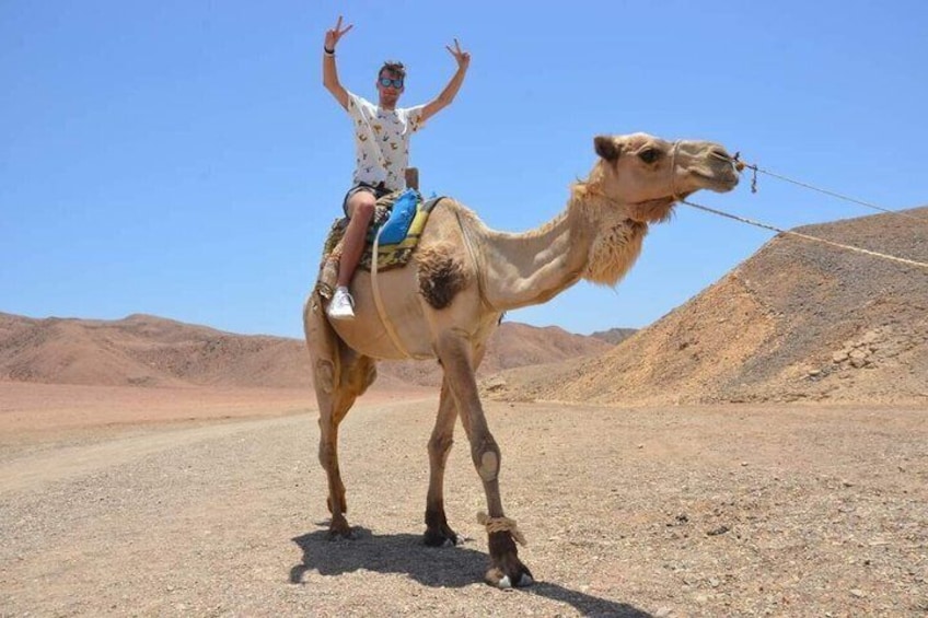 A person riding a camel in a desert landscape. 3