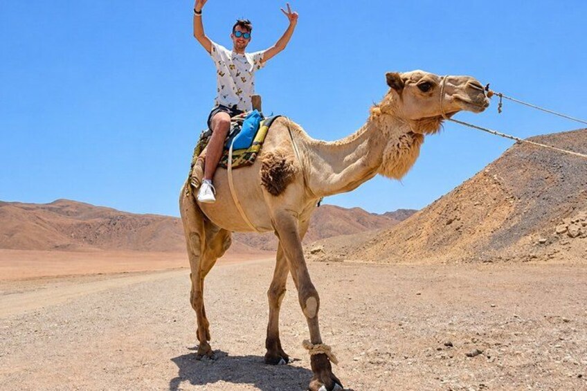A person riding a camel in a desert landscape with mountains in the background. 2