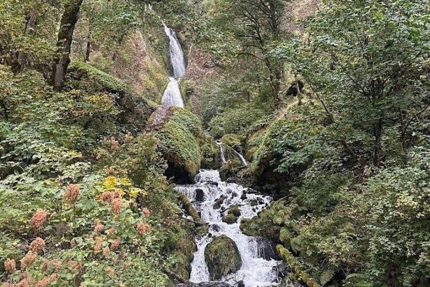 A forested area with a waterfall and a stream. 4