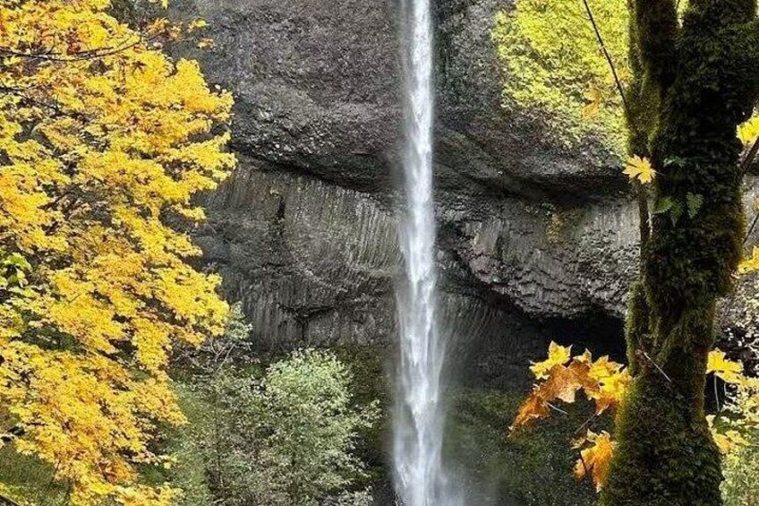 A waterfall cascading down a rocky cliff surrounded by autumn foliage. 2