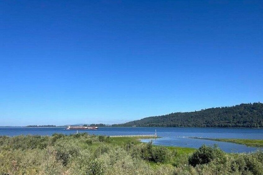 A coastal landscape with a clear sky, a body of water, and a distant shoreline with trees. 3