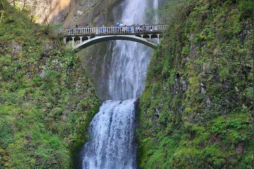 A waterfall, a bridge, and lush greenery. 2