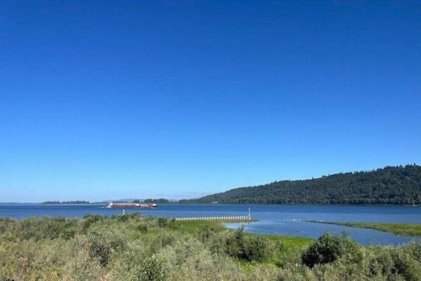 A coastal landscape with a clear sky, a body of water, and a forested hill. 5