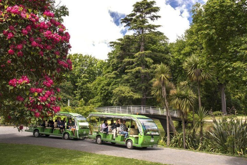 Christchurch Botanic Gardens Tour 1