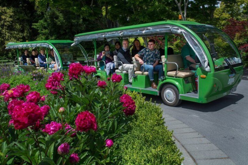 Christchurch Botanic Gardens Tour 3