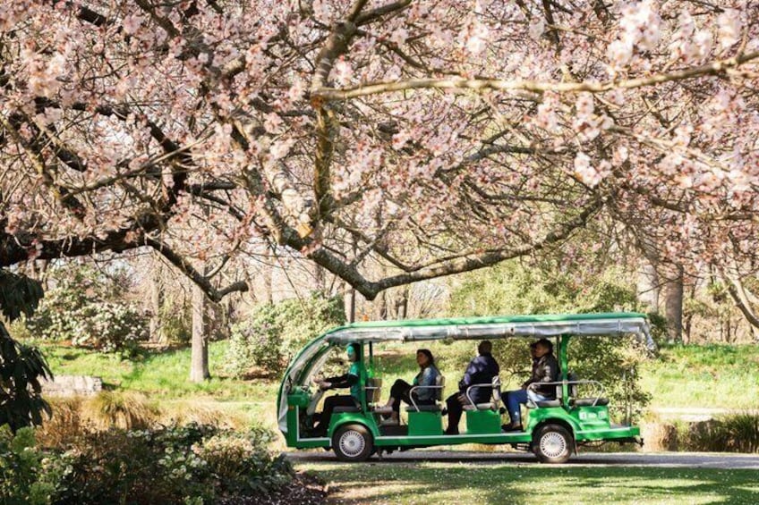 Christchurch Botanic Gardens Tour 5