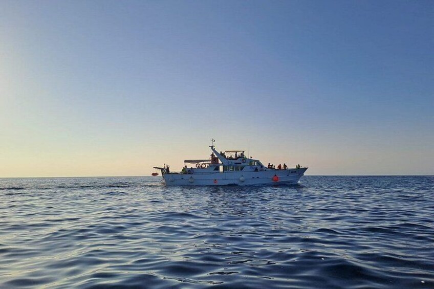 Sunset Cruise with Dolphin Spotting from Umag with Welcome Drink 2