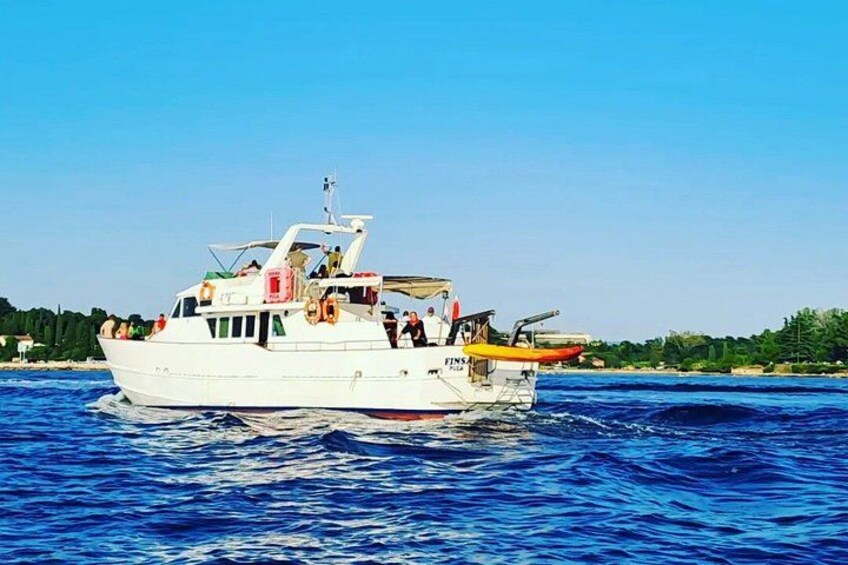Sunset Cruise with Dolphin Spotting from Umag with Welcome Drink 1