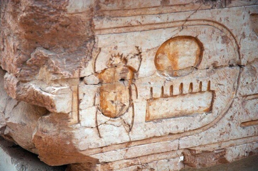 A carved stone with a beetle and a circular shape. 4