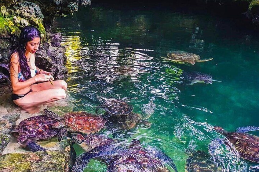 A person sitting by a clear pond with turtles. 4